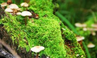 世界体能恢复示范项目落地：社区中心成示范点，国际体能大会