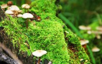 世界体能恢复示范项目落地：社区中心成示范点，国际体能大会