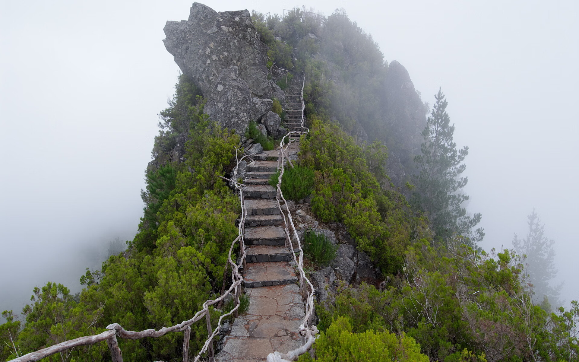 世界登山青年导师长期追踪研究第三期论文征稿启事，世界登山第一人是谁